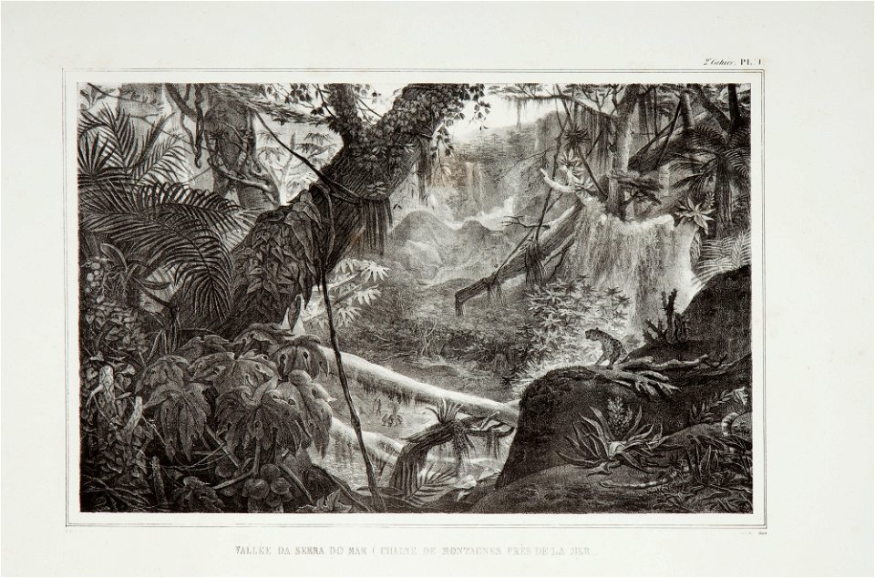 Vallée da Serra do Mar (chaine de montagnes près de la mer), da Coleção Brasiliana Iconográfica