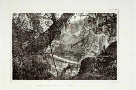 Vallée da Serra do Mar (chaine de montagnes près de la mer), da Coleção Brasiliana Iconográfica