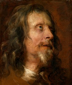 Van Dyck - PORTRAIT STUDY OF A BEARDED MAN