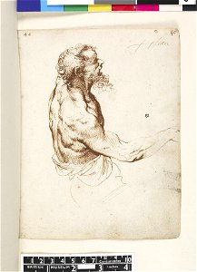Van Dyck - 1957,1214.207.47, Study of a semi-nude male, with beard, in profile to r , after Titian, leaf from van Dyck's Italian Sketchbook