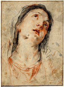 Van Dyck - Head of the Virgin, study for a painting, 1622-1627 (circa)