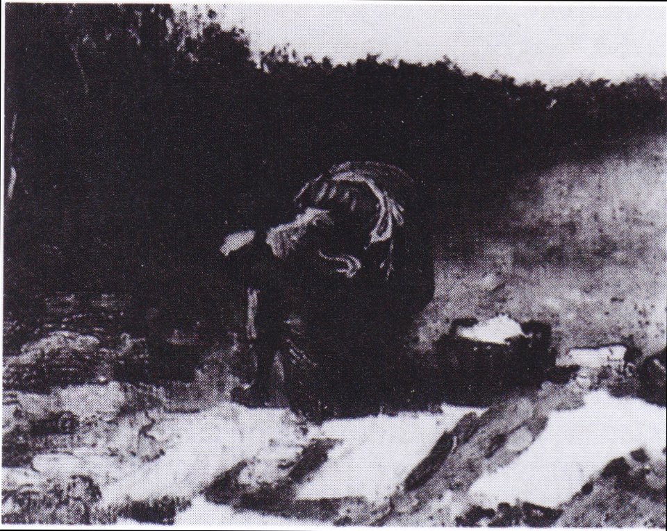 Van Gogh - Bäuerun beim Wäschebleichen