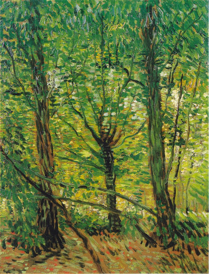 Van Gogh - Bäume und Unterholz