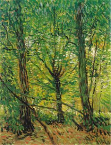 Van Gogh - Bäume und Unterholz