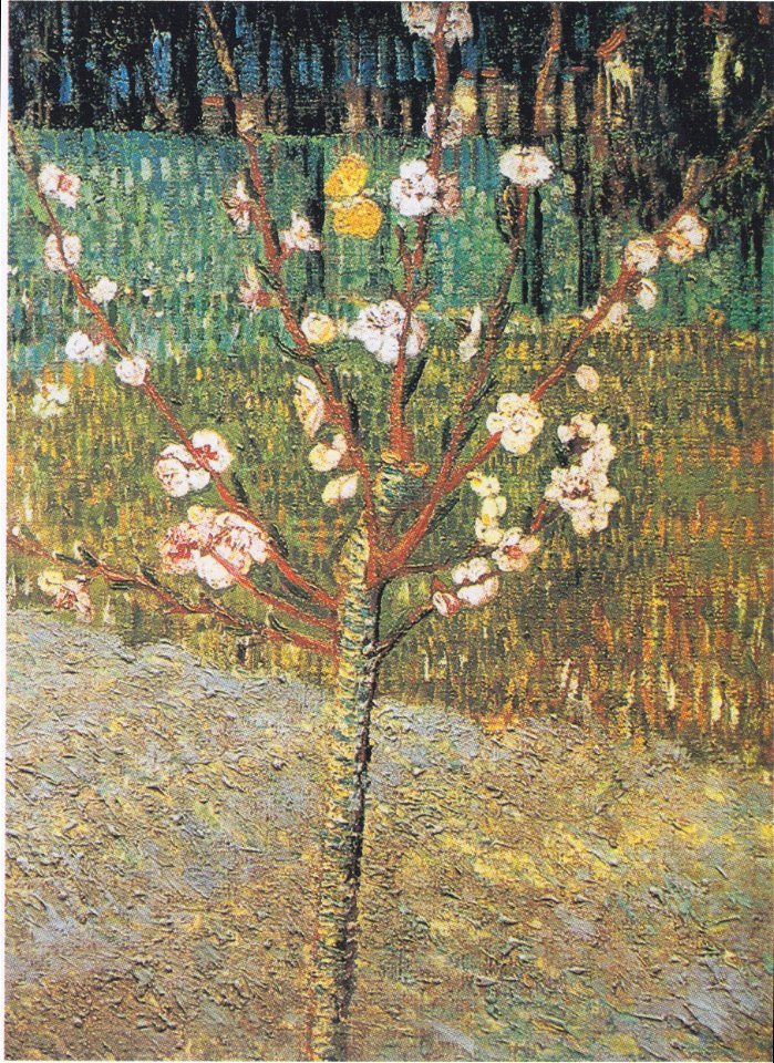 Van Gogh - Blühender Mandelbaum