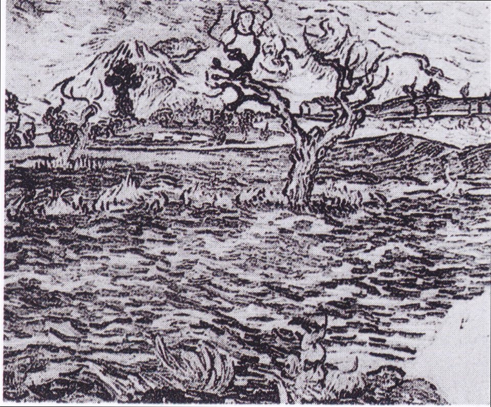 Van Gogh - Landschaft mit Olivenbaum und Bergkette im Hintergrund