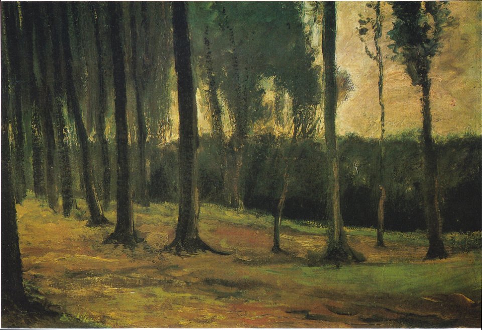 Van Gogh - Waldrand