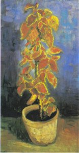 Van Gogh - Blumentopf mit Buntnessel