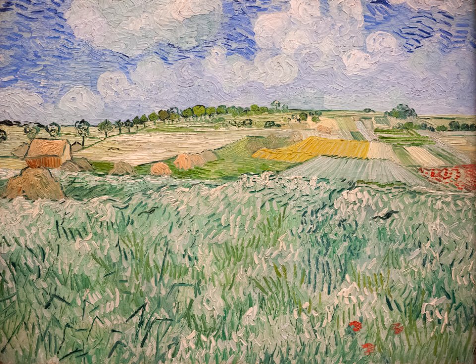 Van Gogh - Ebene bei Auvers 1300251