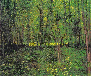Van Gogh - Bäume und Unterholz2