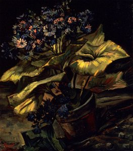Van Gogh - Blumentopf mit Aschenkraut