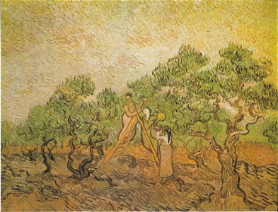 Van Gogh - Olivenpflücker