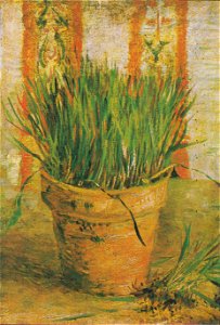 Van Gogh - Blumentopf mit Schnittlauch