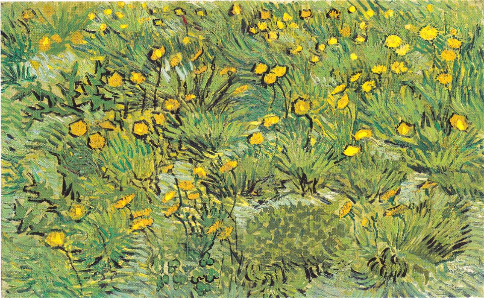 Van Gogh - Löwenzahn