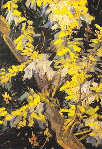 Van Gogh - Blühender Akazienzweig