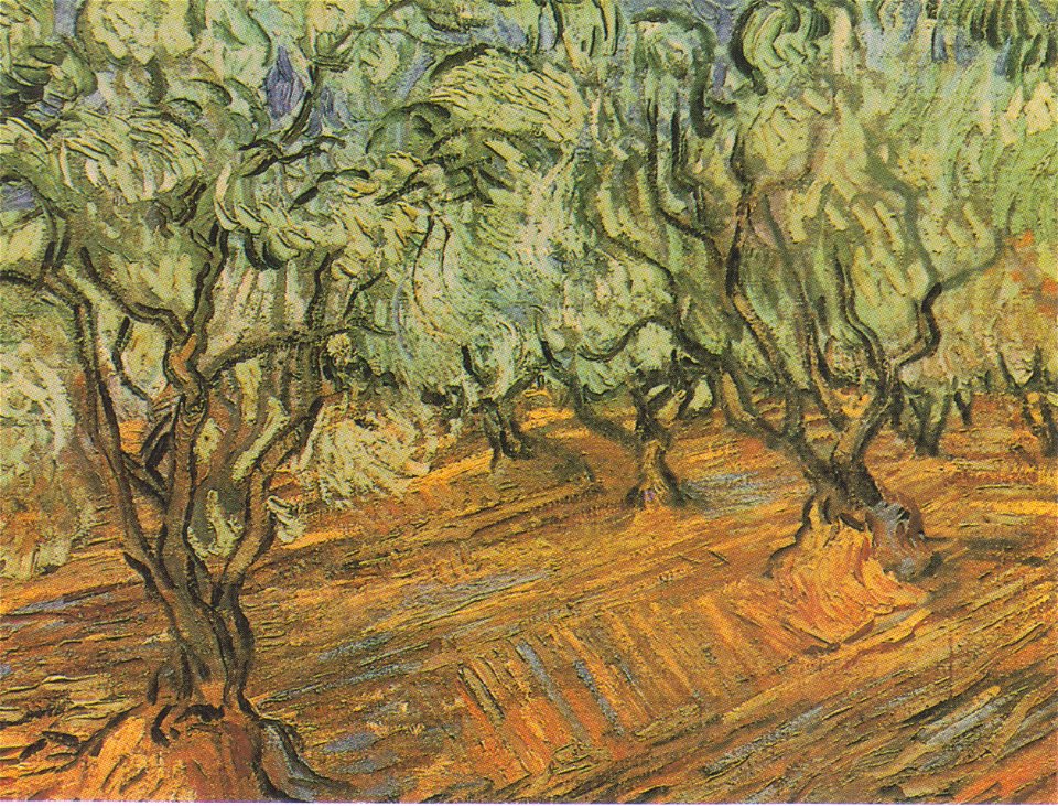 Van Gogh - Olivenhain mit blauem Himmel
