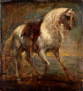 Van Dyck, Sir Anthony - A Grey Horse - Google Art Project
