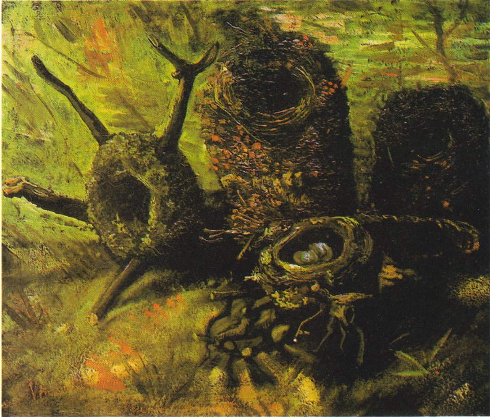 Van Gogh - Stillleben mit fünf Vogelnestern