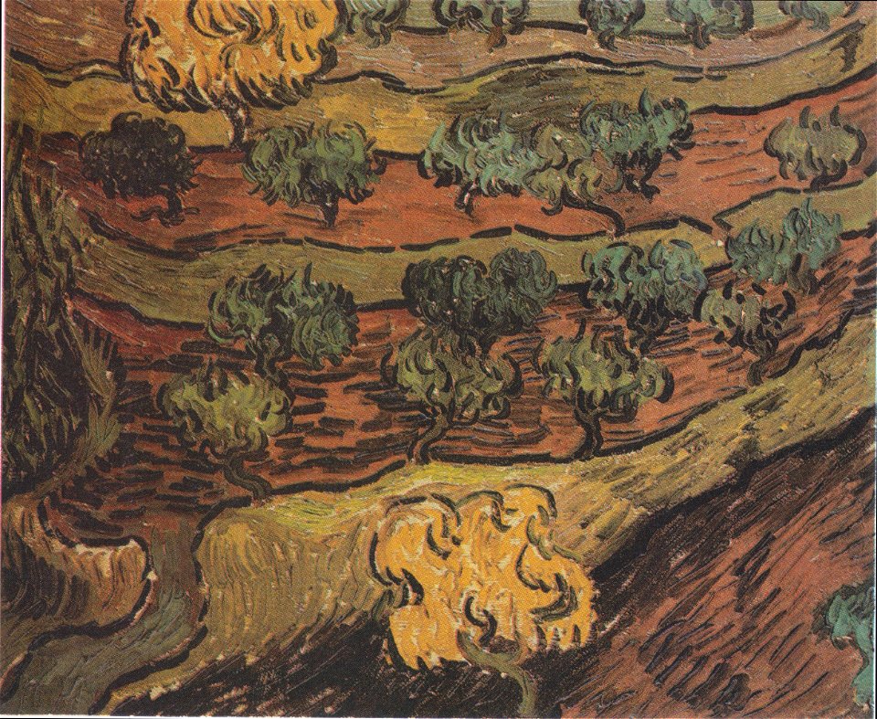 Van Gogh - Olivenbäume auf einem Hügel