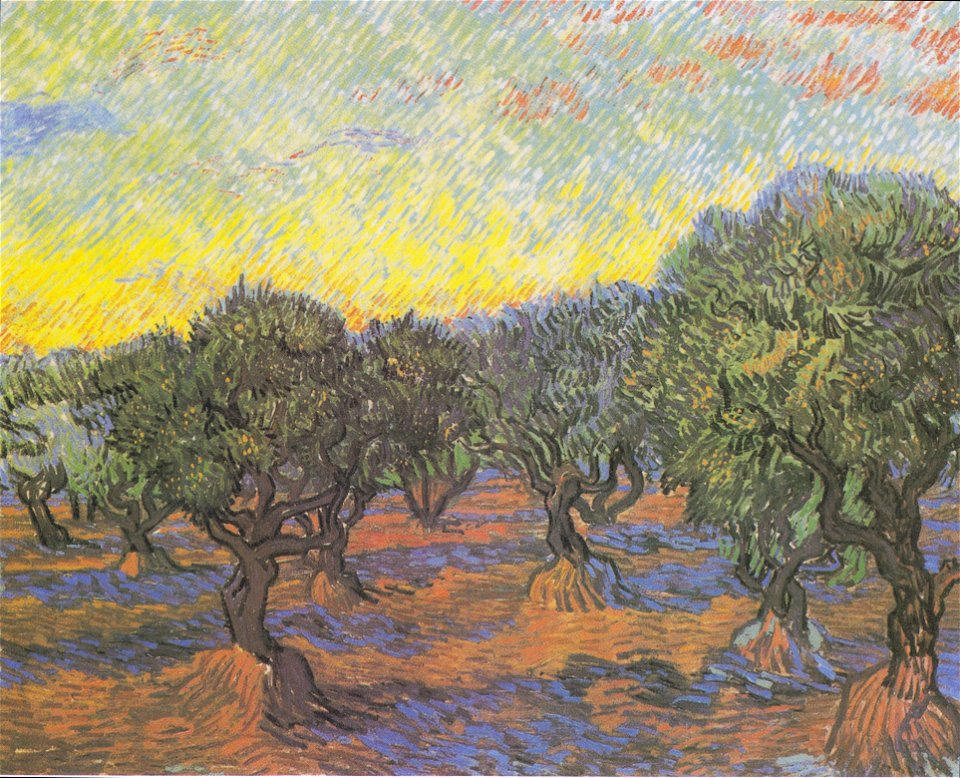 Van Gogh - Olivenhain