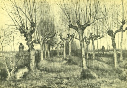 Van-Gogh kopfbirken-schafhirt