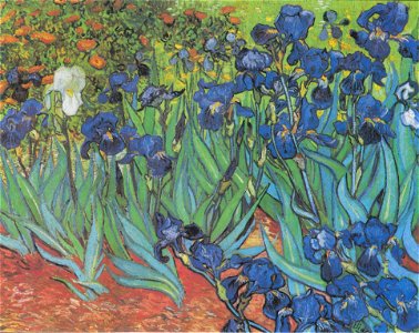 Van Gogh - Iris (Schwertlilien)