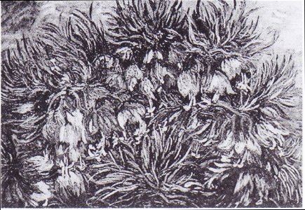 Van Gogh - Büschel von Schachbrettblumen