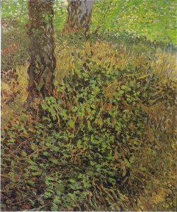 Van Gogh -Unterholz