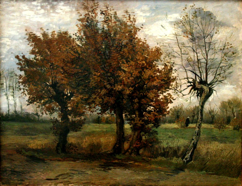 Autumn landscape