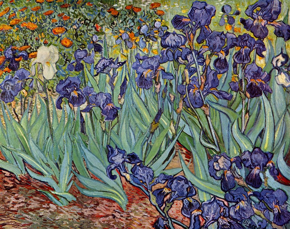 Vincent Willem van Gogh 126
