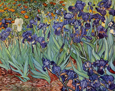Vincent Willem van Gogh 126