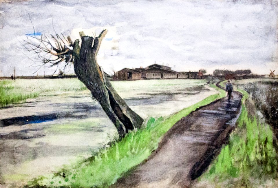 Pollard Willow - My Dream