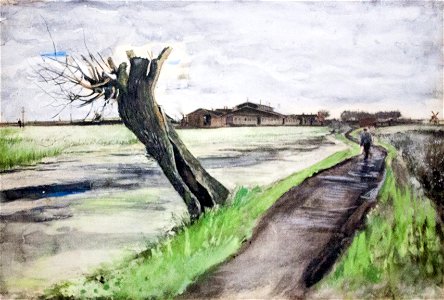 Pollard Willow - My Dream