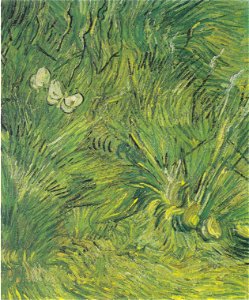 Van Gogh - Zwei weiße Schmetterlinge