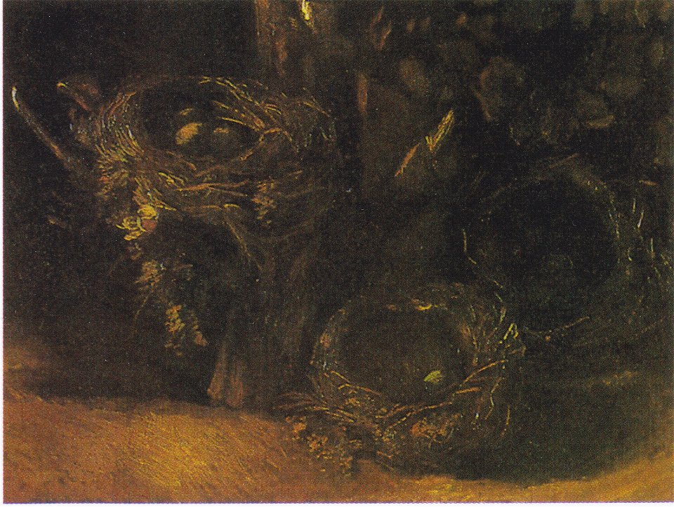 Van Gogh - Stillleben mit drei Vogelnestern