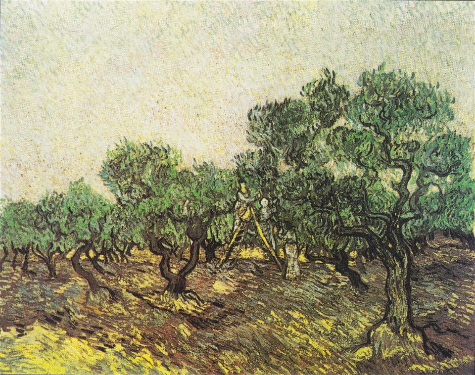 Van Gogh - Olivenpflücker2