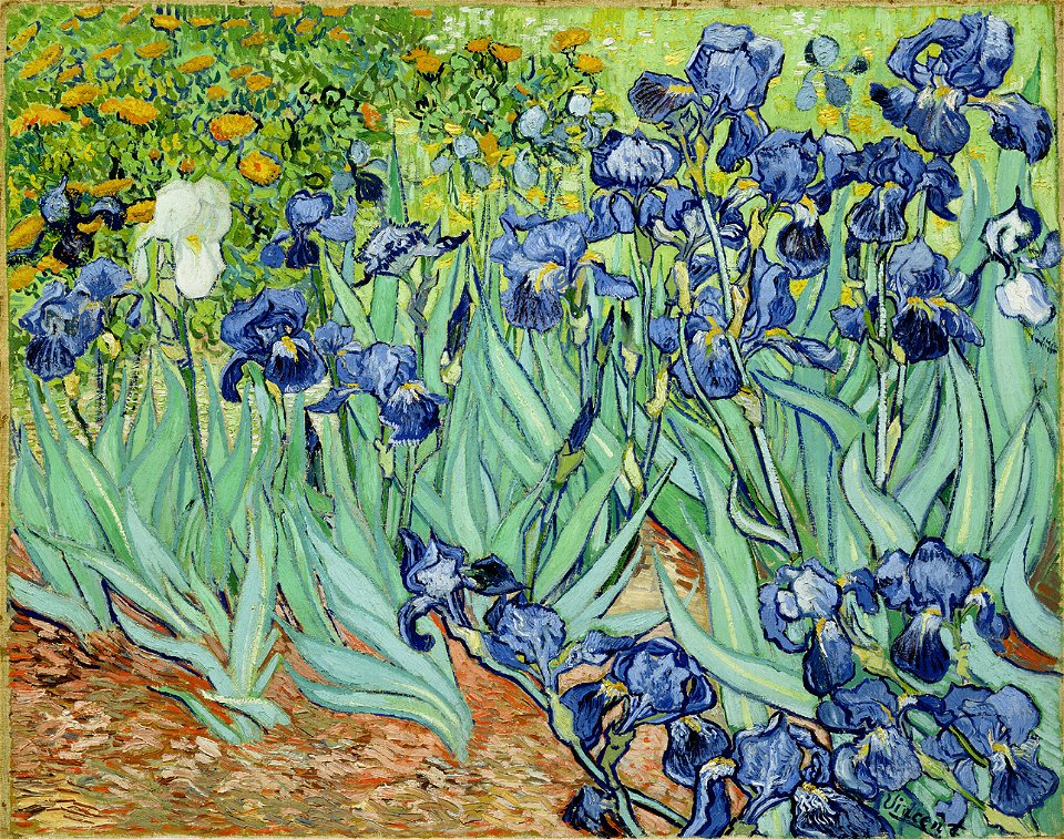 VanGoghIrises2