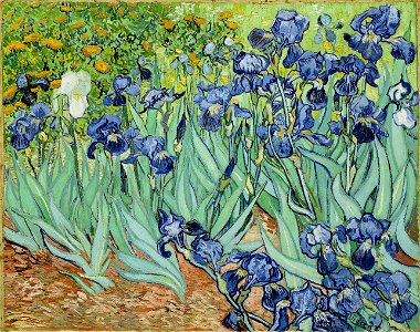 VanGoghIrises2