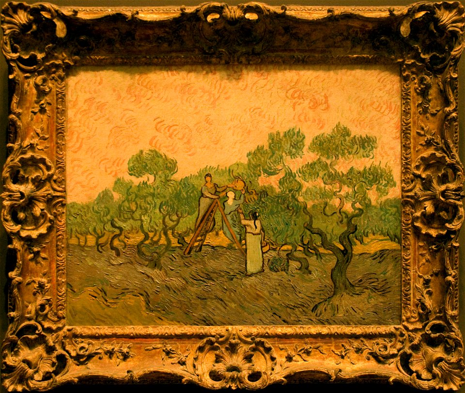 Women Picking Olives