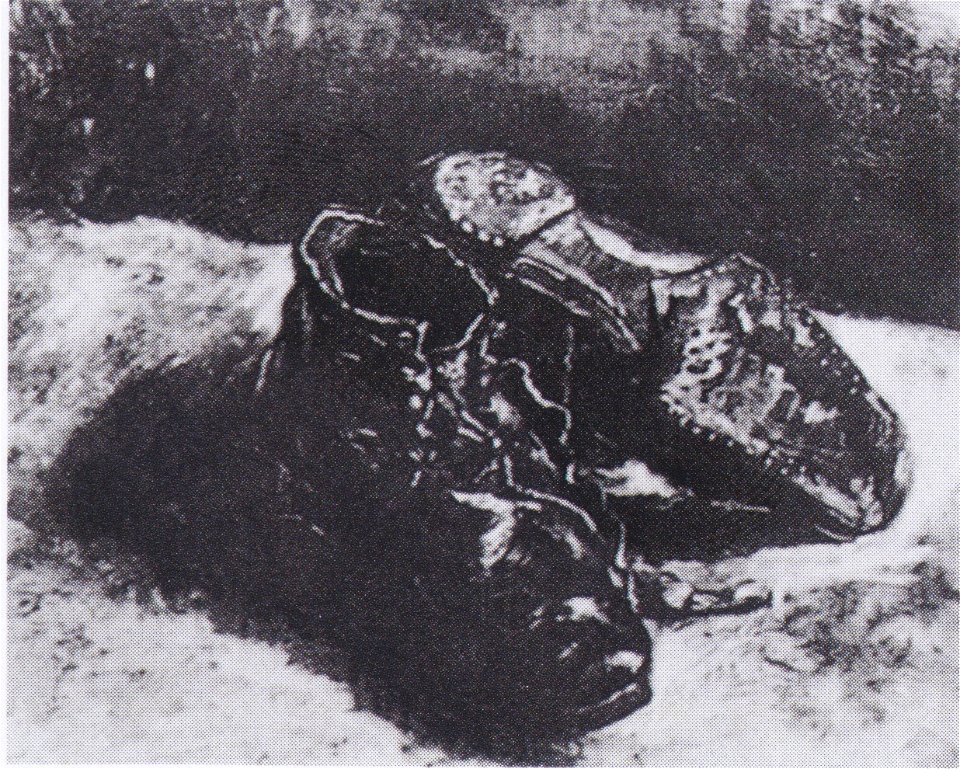 Van Gogh - Ein Paar Schuhe2