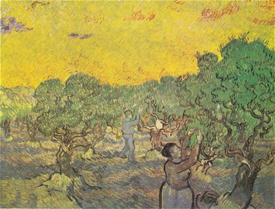 Van Gogh - Oilvenhain mit pflückenden Figuren