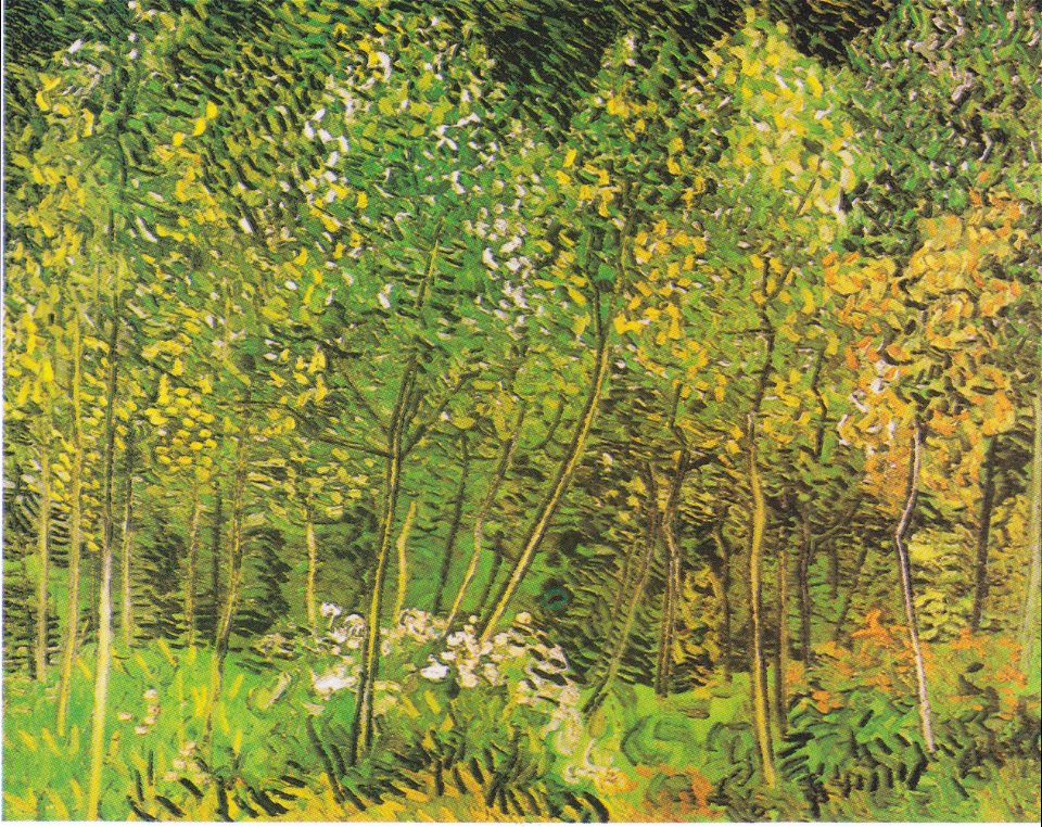 Van Gogh - Wäldchen