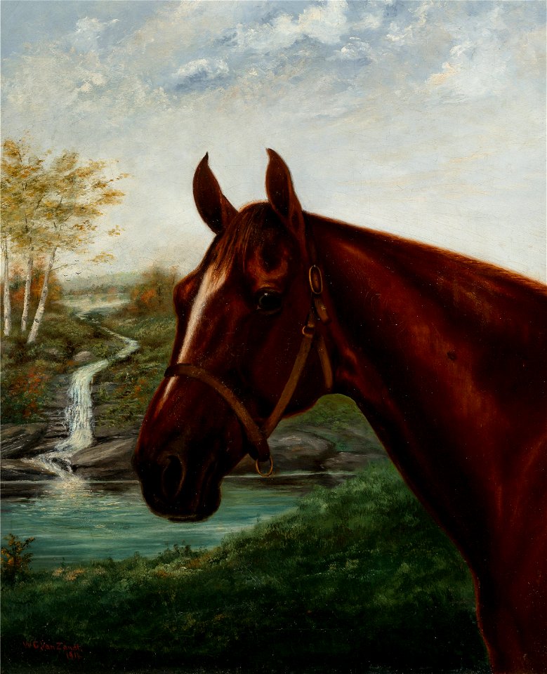 Horse Portrait by William G. Van Zandt, 1916