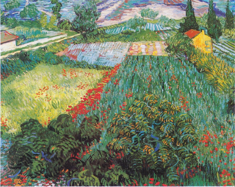 Van Gogh - Feld mit Mohnblumen