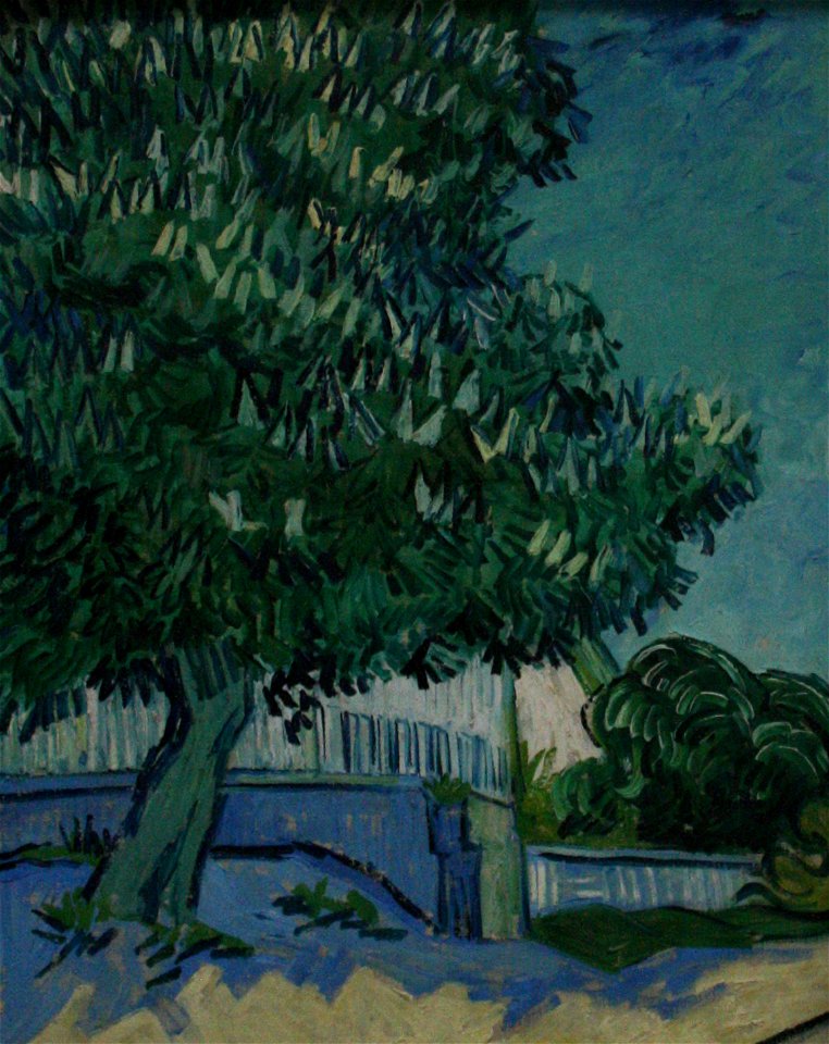 Blossoming chestnut trees