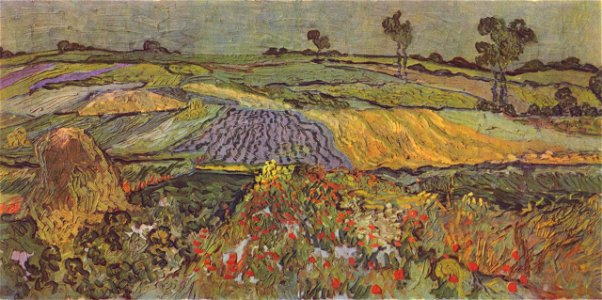 Vincent Willem van Gogh 038
