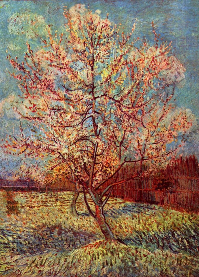Vincent Willem van Gogh 014