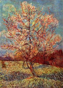 Vincent Willem van Gogh 014