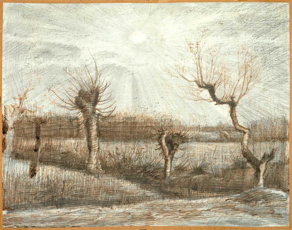 Vincent van Gogh - Tetards (Pollards)