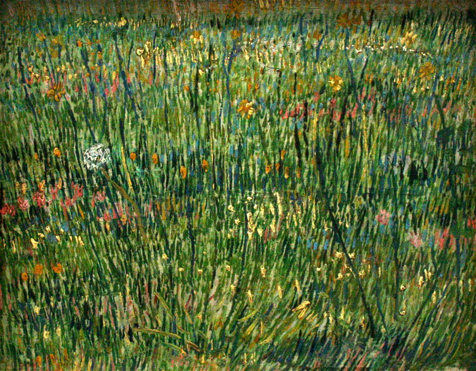 Van Gogh - Patch of grass